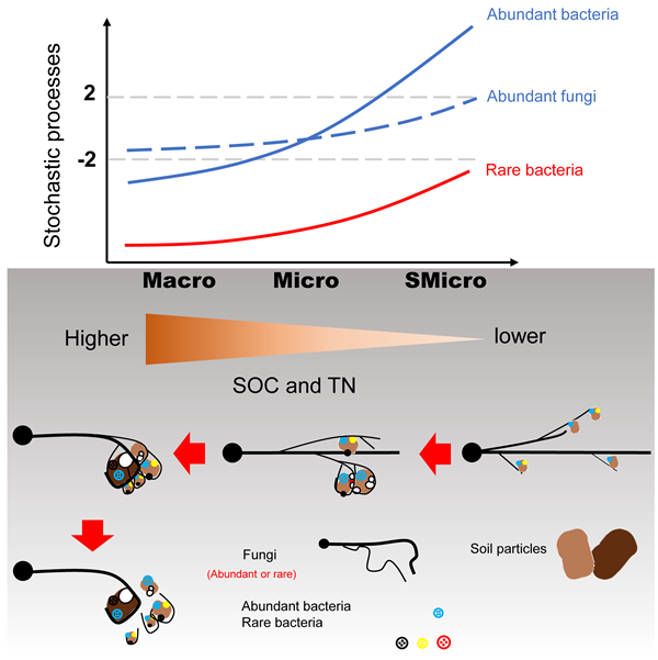 49f0a1ba14054683812c9d0f57067923.png graphic abstract-01_副本.png