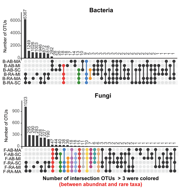 c32c056d0c0d49a796f6de8c17bc7981.png Rplot-01_副本.png