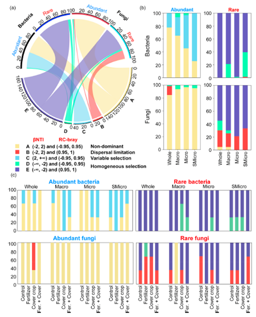 d3bed1ec82fc49b5b731a6030086f3ad.png 11.png